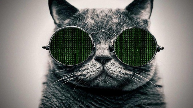 我想做个小型的商业网站该用nodejs还是python做后端？