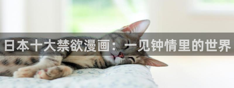 韩漫漫画视频：日本十大禁欲漫画：一见钟情里的世界